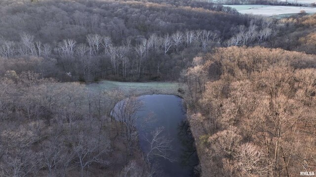 17217 N Dairy Farm Rd, Smithfield, IL 61477 - photo 19