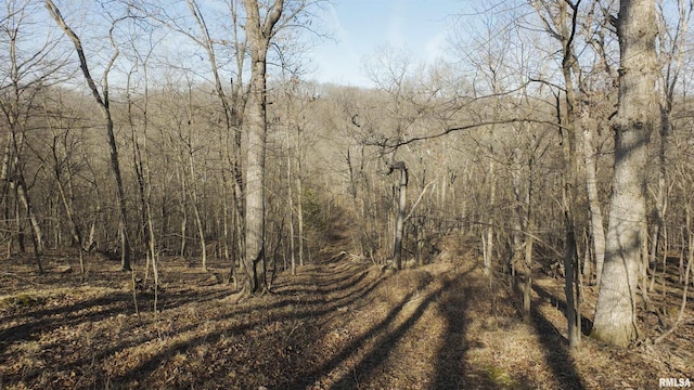 17217 N Dairy Farm Rd, Smithfield, IL 61477 - photo 3