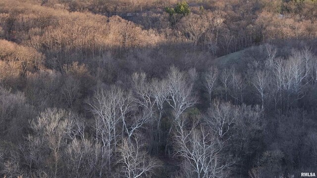 17217 N Dairy Farm Rd, Smithfield, IL 61477 - photo 21