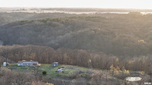 17217 N Dairy Farm Rd, Smithfield, IL 61477 - photo 23