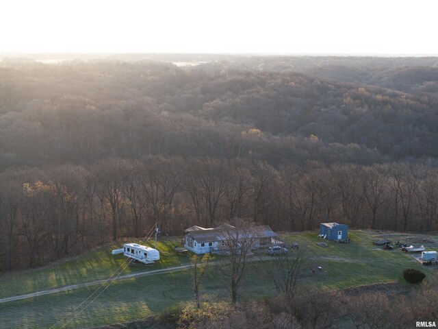17217 N Dairy Farm Rd, Smithfield, IL 61477 - photo 24