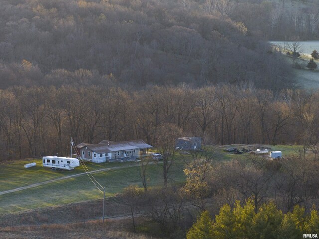 17217 N Dairy Farm Rd, Smithfield, IL 61477 - photo 26
