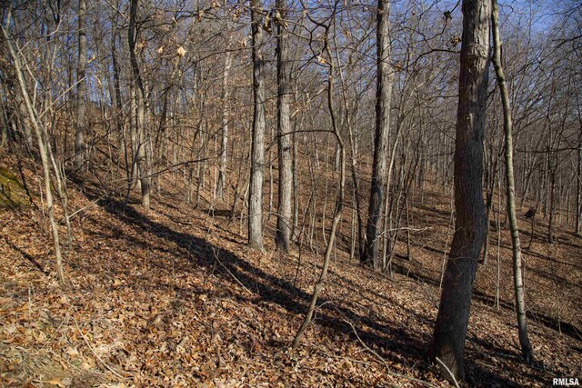 17217 N Dairy Farm Rd, Smithfield, IL 61477 - photo 27