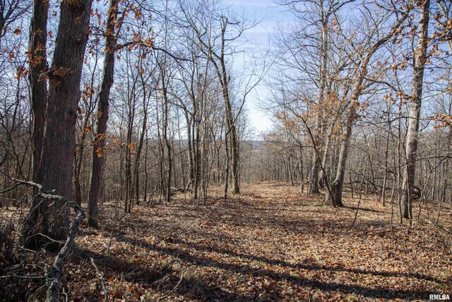 17217 N Dairy Farm Rd, Smithfield, IL 61477 - photo 30