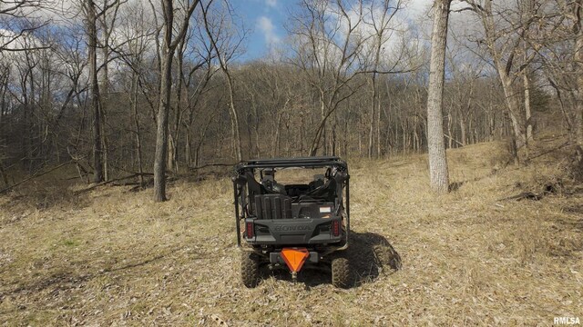 17217 N Dairy Farm Rd, Smithfield, IL 61477 - photo 4