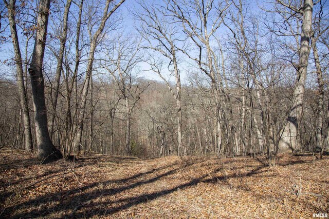 17217 N Dairy Farm Rd, Smithfield, IL 61477 - photo 31