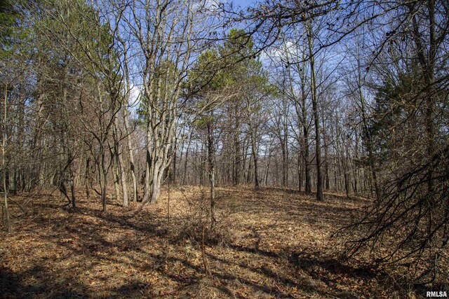 17217 N Dairy Farm Rd, Smithfield, IL 61477 - photo 38