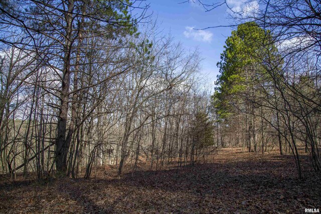 17217 N Dairy Farm Rd, Smithfield, IL 61477 - photo 40