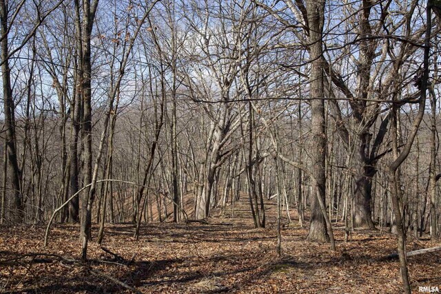 17217 N Dairy Farm Rd, Smithfield, IL 61477 - photo 42