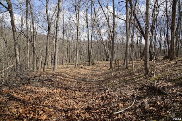17217 N Dairy Farm Rd, Smithfield, IL 61477 - photo 45