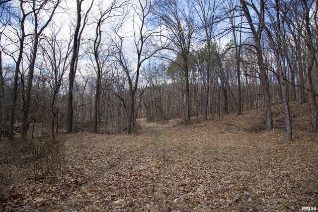 17217 N Dairy Farm Rd, Smithfield, IL 61477 - photo 47