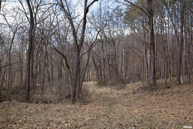 17217 N Dairy Farm Rd, Smithfield, IL 61477 - photo 48