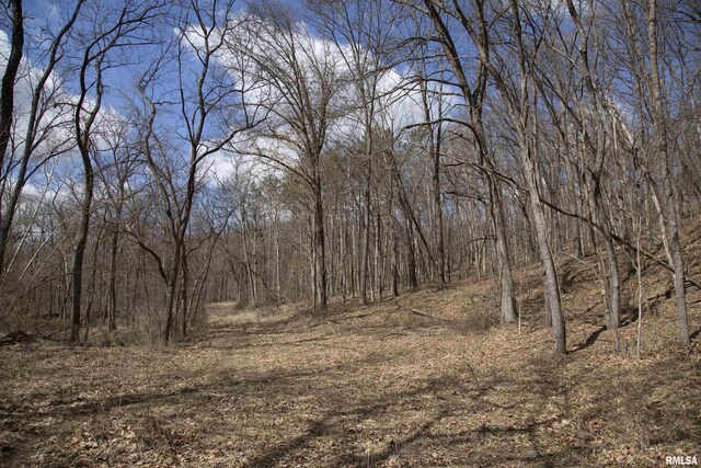 17217 N Dairy Farm Rd, Smithfield, IL 61477 - photo 49