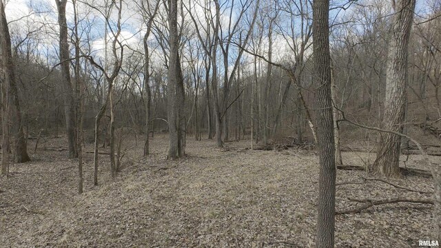 17217 N Dairy Farm Rd, Smithfield, IL 61477 - photo 6
