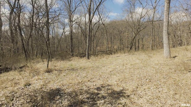 17217 N Dairy Farm Rd, Smithfield, IL 61477 - photo 7