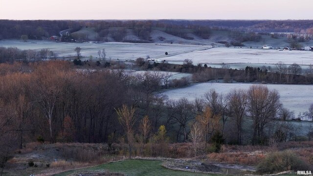 17217 N Dairy Farm Rd, Smithfield, IL 61477 - photo 9