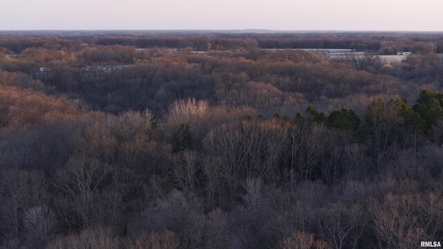 17217 N Dairy Farm Rd, Smithfield, IL 61477 - photo 10