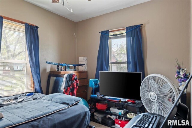 417 N Stephens Ave, Springfield, IL 62702 - view of carpeted bedroom