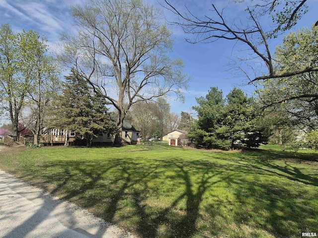 view of yard