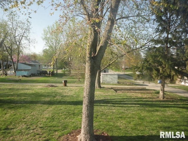 view of property's community featuring a yard