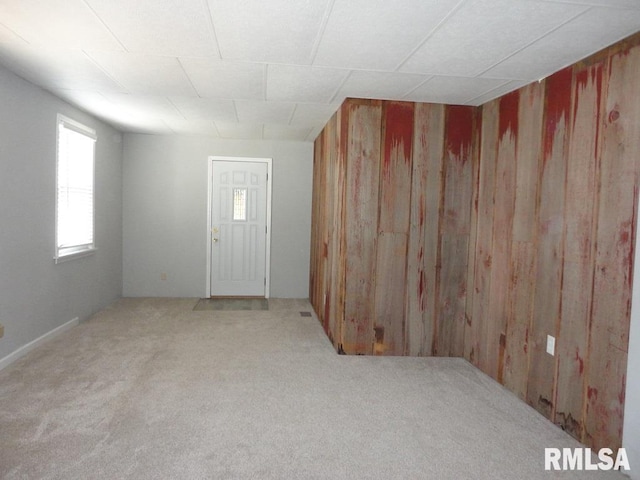 interior space with wooden walls and carpet floors