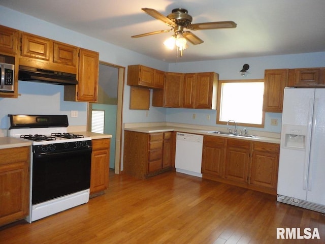kitchen with a sink, light wood-style floors, white appliances, brown cabinetry, and under cabinet range hood