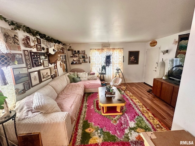 1038 W Maple Ave, Springfield, IL 62704 - living room featuring wood finished floors