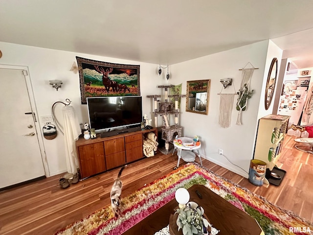 1038 W Maple Ave, Springfield, IL 62704 - living room featuring baseboards and wood finished floors