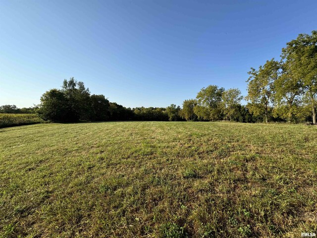 323 E Cortland St, Avon, IL 61415 - view of yard featuring a rural view