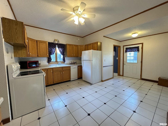 323 E Cortland St, Avon, IL 61415 - kitchen featuring a healthy amount of sunlight, a sink, white appliances, and light countertops