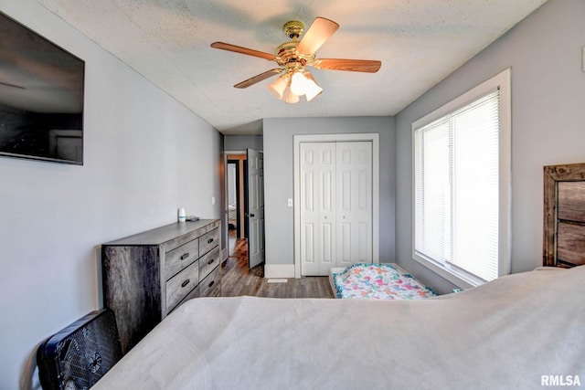 bedroom with a ceiling fan, wood finished floors, a closet, and multiple windows