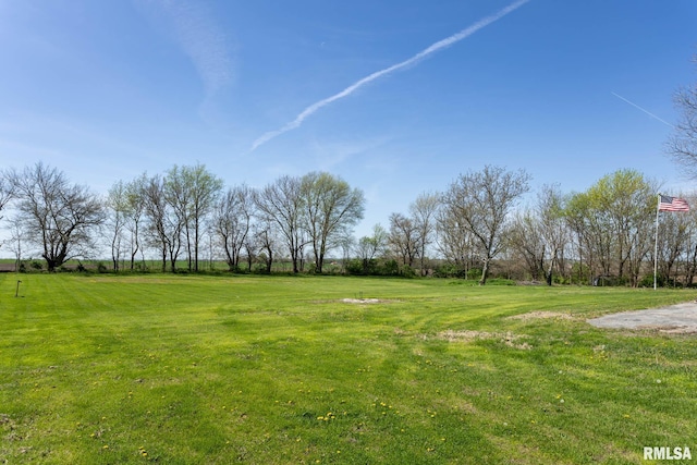 1620 N 703rd Ln, Liberty, IL 62347 - view of yard