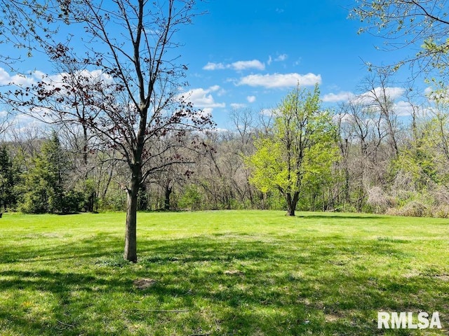 view of yard featuring a wooded view