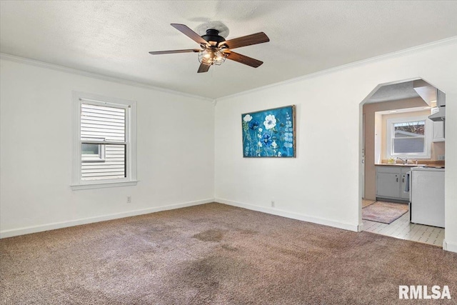 spare room featuring ceiling fan, baseboards, light colored carpet, and ornamental molding