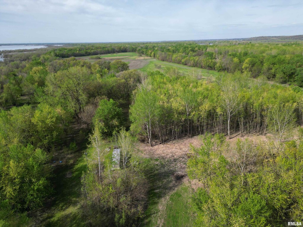 0 Island Ln, Beardstown, IL 62618