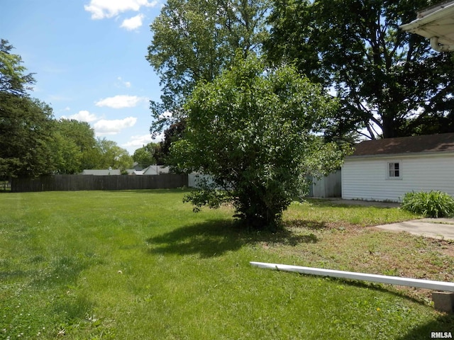 515 Franklin Ave, Galesburg, IL 61401 - view of yard