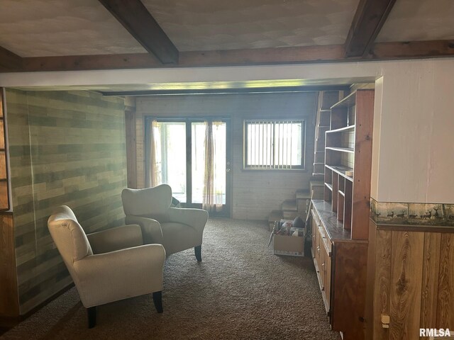 888 E Erie St, Palmer, IL 62568 - photo 14