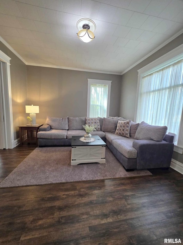 419 S 16th St, Quincy, IL 62301 - living area featuring wood finished floors and ornamental molding