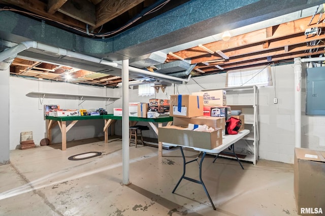 basement with electric panel