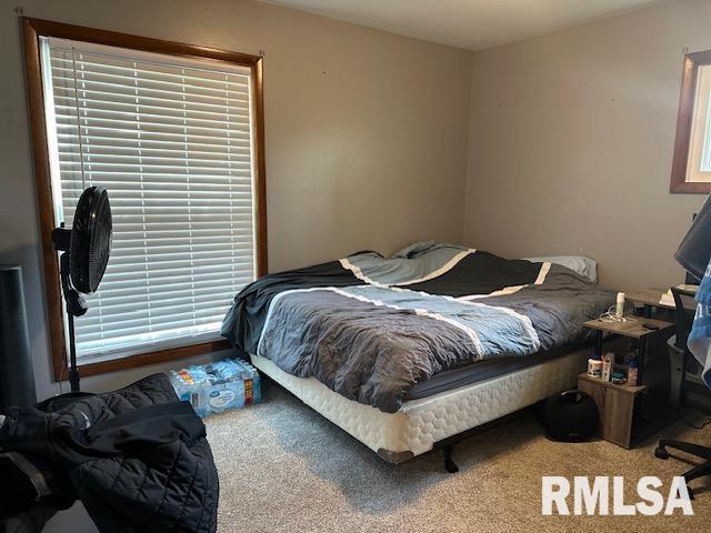 bedroom with carpet flooring