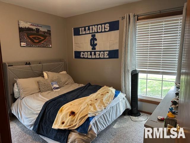 bedroom with carpet