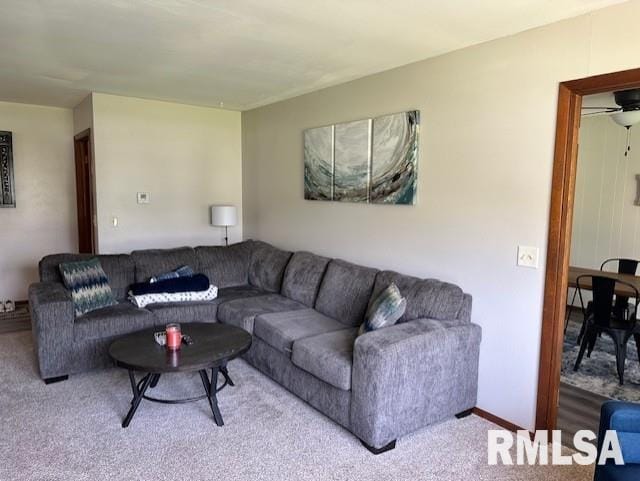living area with carpet floors