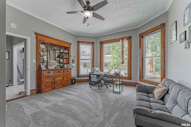 carpeted office with a textured ceiling, a ceiling fan, ornamental molding, and baseboards