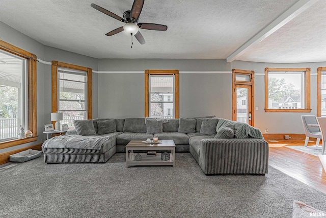 living area with baseboards, wood finished floors, ceiling fan, and a textured ceiling