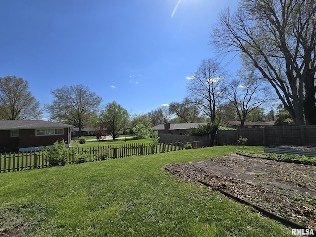 view of yard featuring a fenced backyard