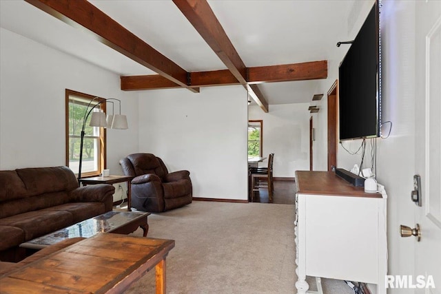 living room featuring baseboards, carpet, and beam ceiling