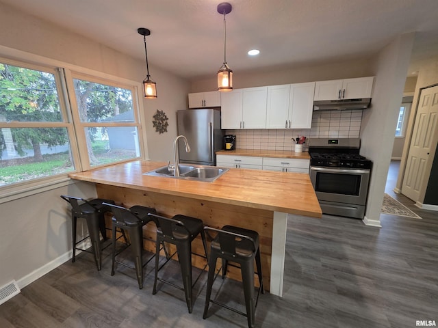kitchen with wood counters, a sink, stainless steel appliances, baseboards, and under cabinet range hood