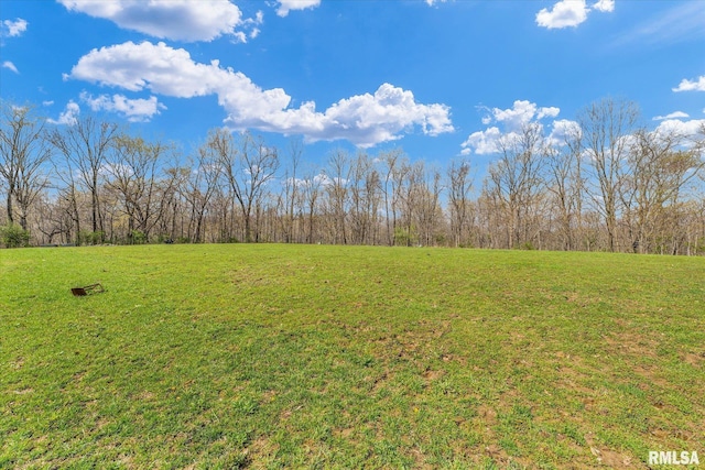 view of yard featuring a wooded view