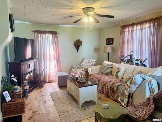 502 E Main St, Plymouth, IL 62367 - living room with light wood-type flooring, a ceiling fan, ornamental molding, and plenty of natural light
