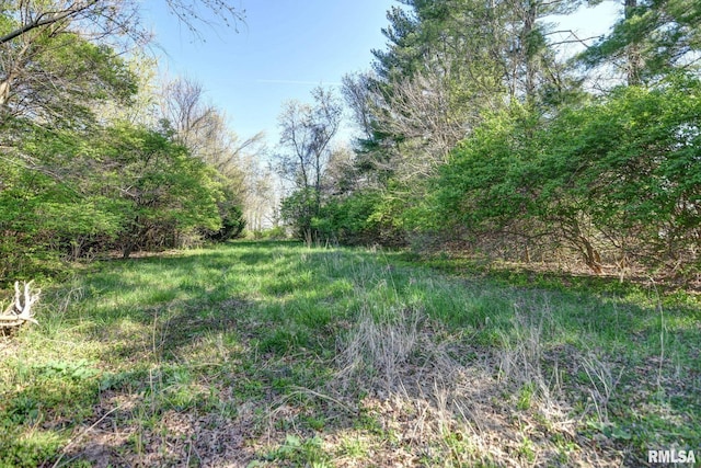 view of yard with a view of trees